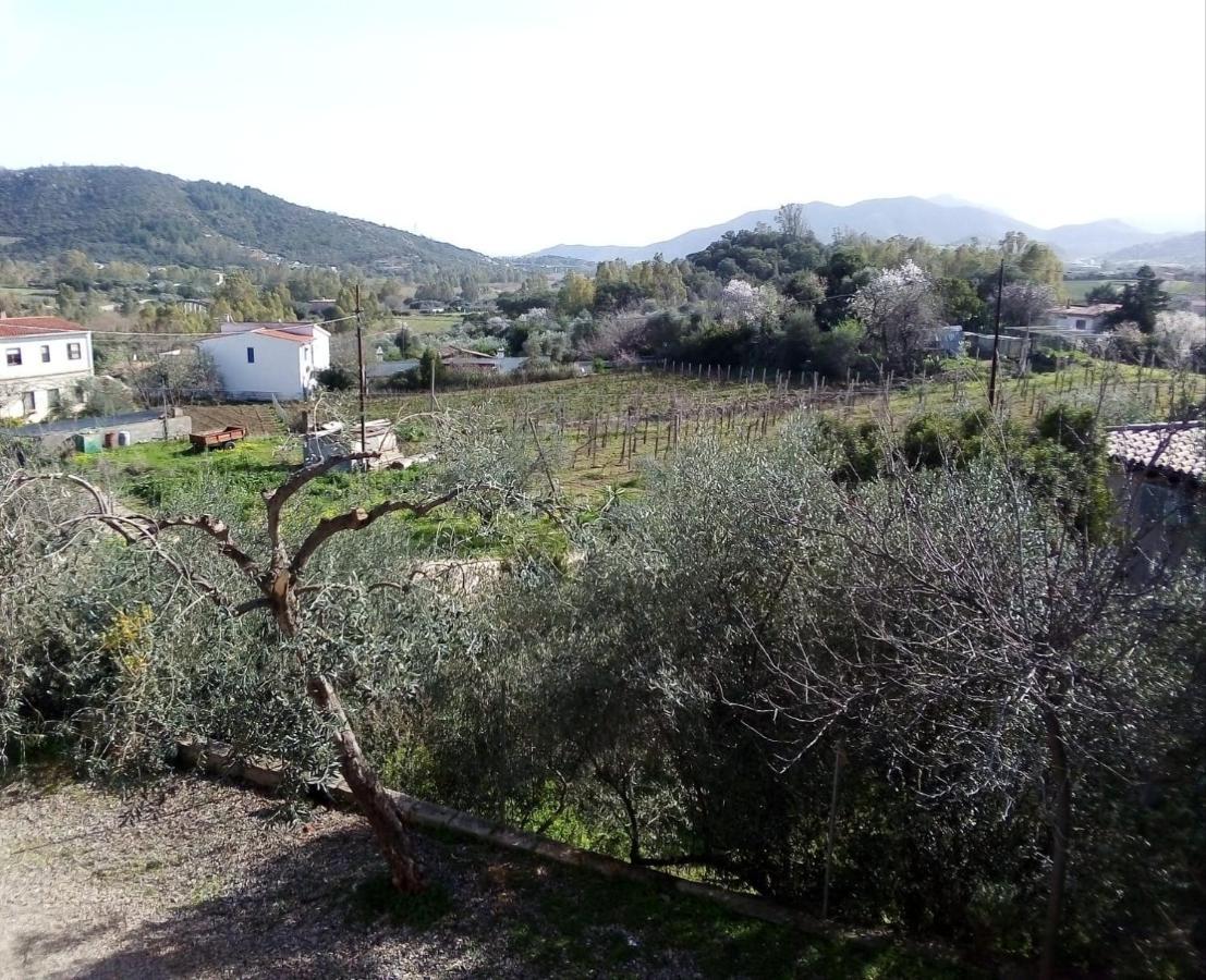 Appartamento Titina Jerzu Exterior photo